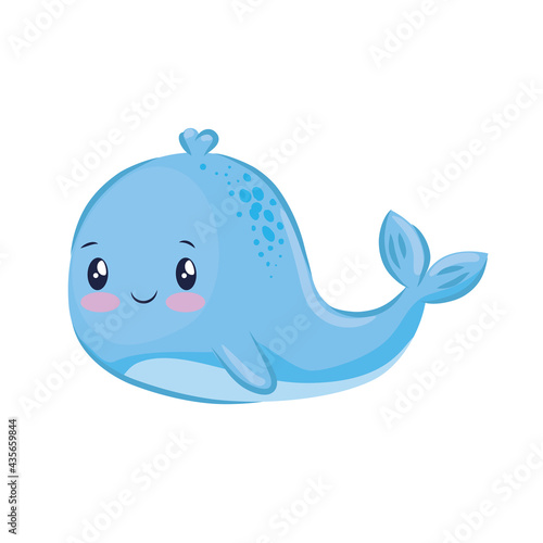 cute whale animal