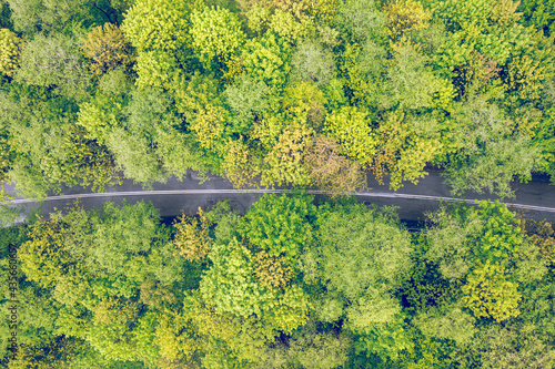 Aerial view of road at green summer forest country road in Poland. photo