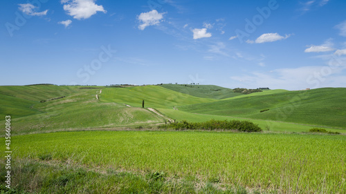 Paesaggio della Toscana