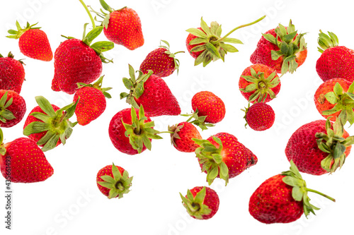 fresh natural strawberries straight from the vegetable garden on a white background