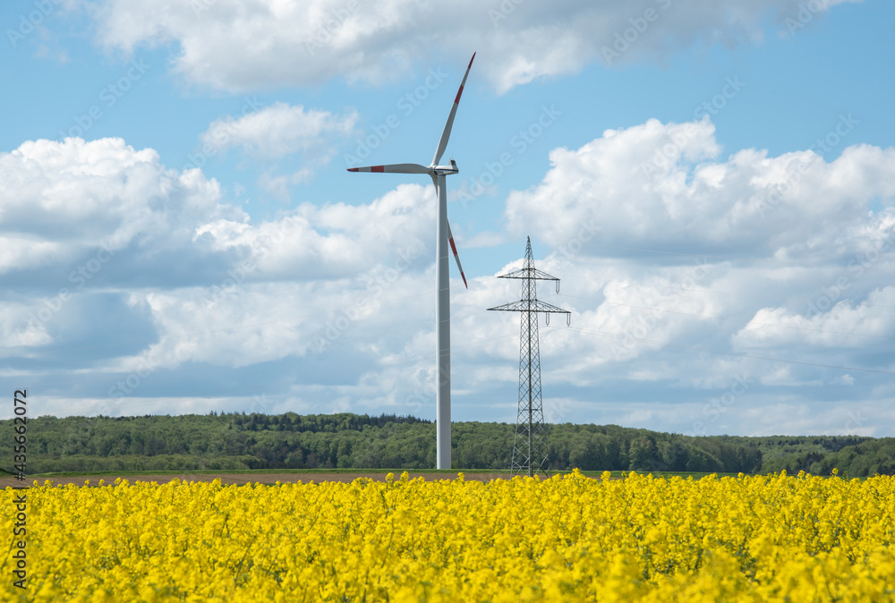 a windmill and an electricity pylon next to a rapeseed field
