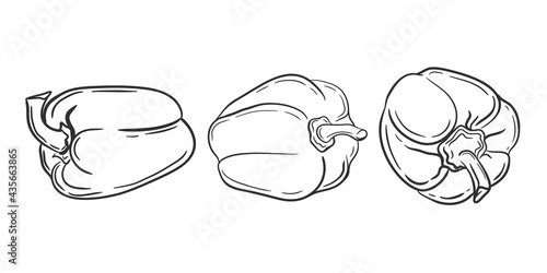 Pepper painted.Set of paprika on a white background.ASketch of vegetables with mascara .Vector illustration.
