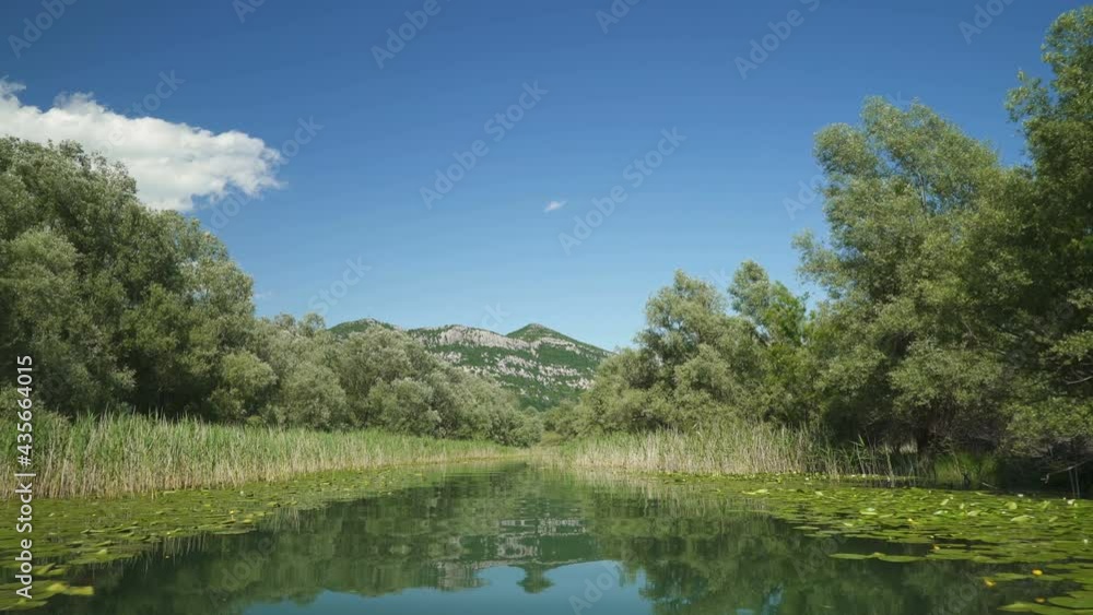 Crnojevicha river and Skadar lake view from the boat Crnojevicha river and Skadar lake view from the boat