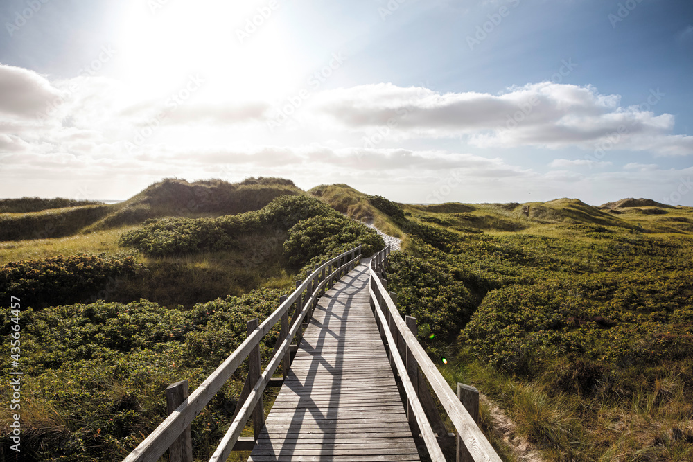 Panoramic seascape view, green vegetation on coastal sand dunes. Tourist trail leading on wooden boardwalk.