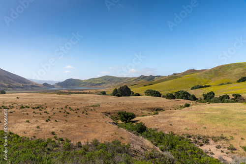 Картината върху платно Santa Maria, CA, USA - May 21, 2021: Brown dried ranch land and green yellowish hills with dark green trees sprinkled around under blue sky