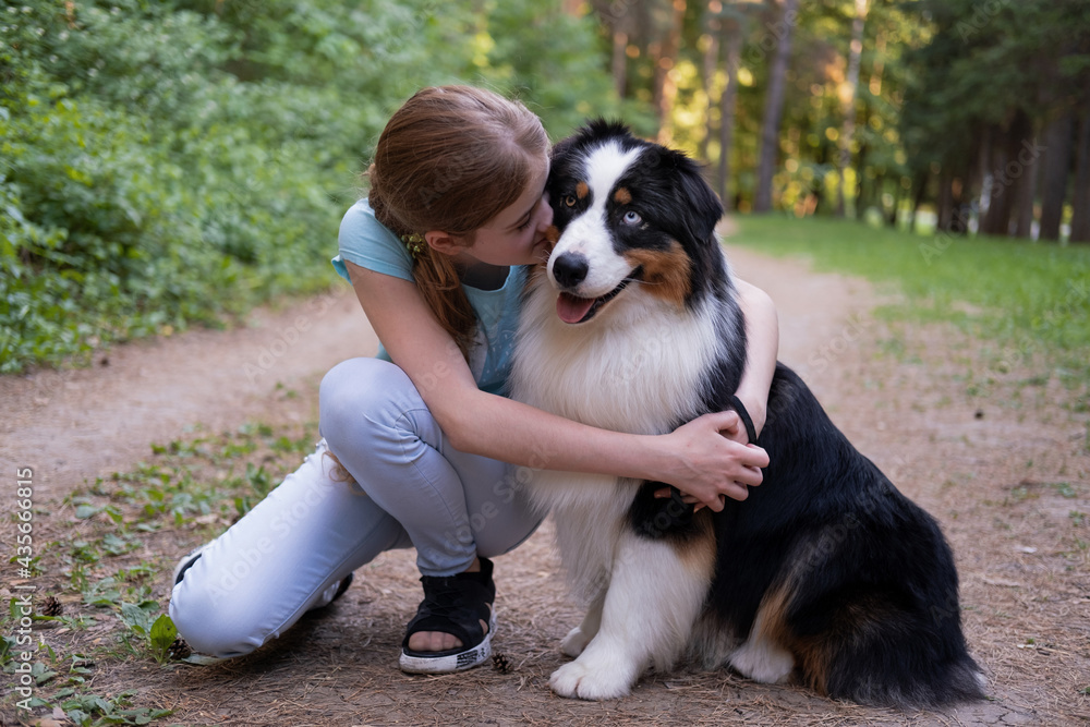  teenage girl embrace kiss australian shepherd dog in summer. Stand in forest