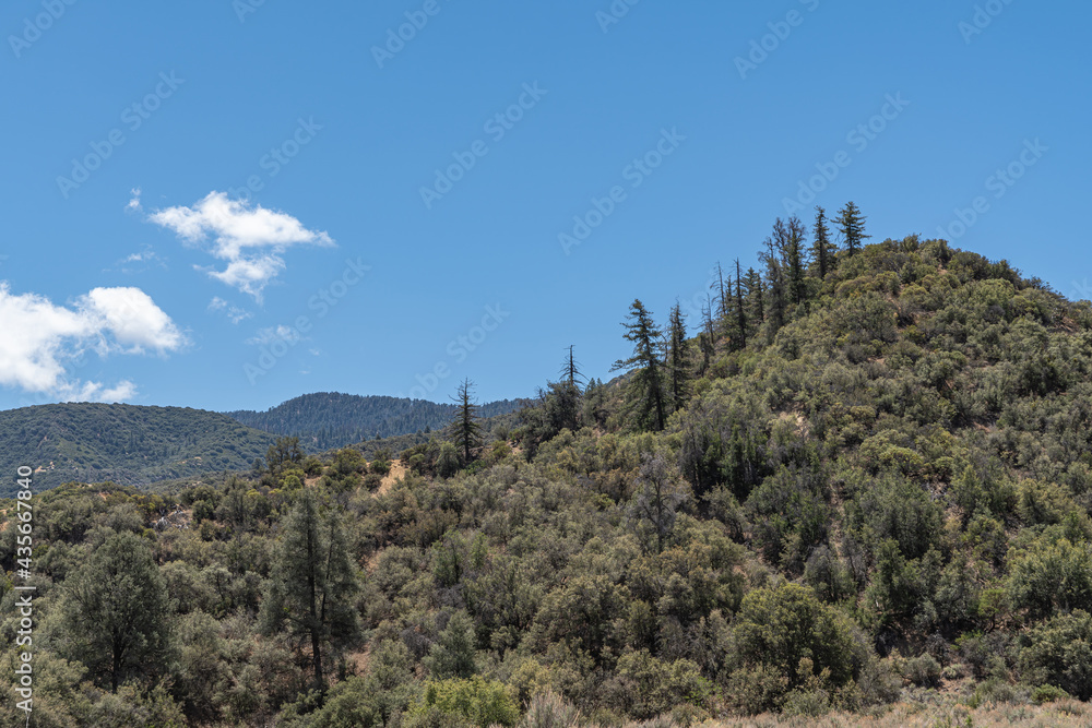 Los Padres National Forest, CA, USA - May 21, 2021: Forested green mountain tops under blue cloudscape.