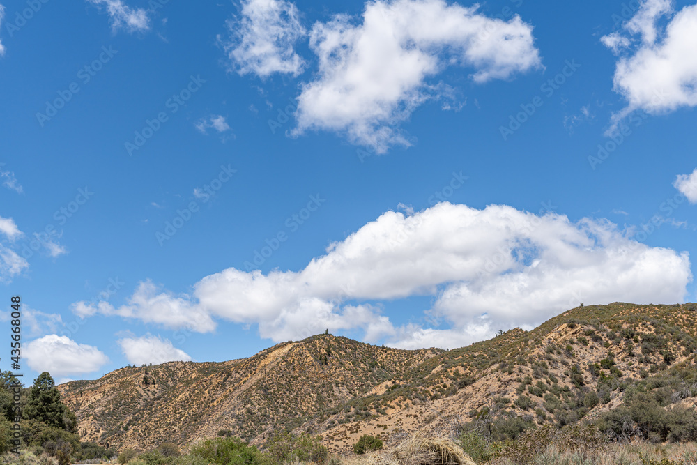 Los Padres National Forest, CA, USA - May 21, 2021: Closeup of forested green mountain top under blue cloudscape.