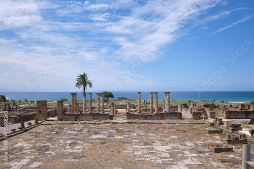 Ruinas de Baelo Claudio en Playa de Bolonia