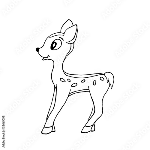 Charming fawn on a white background, doodle.Vector fawn can be used in children's coloring books, postcards,textiles.