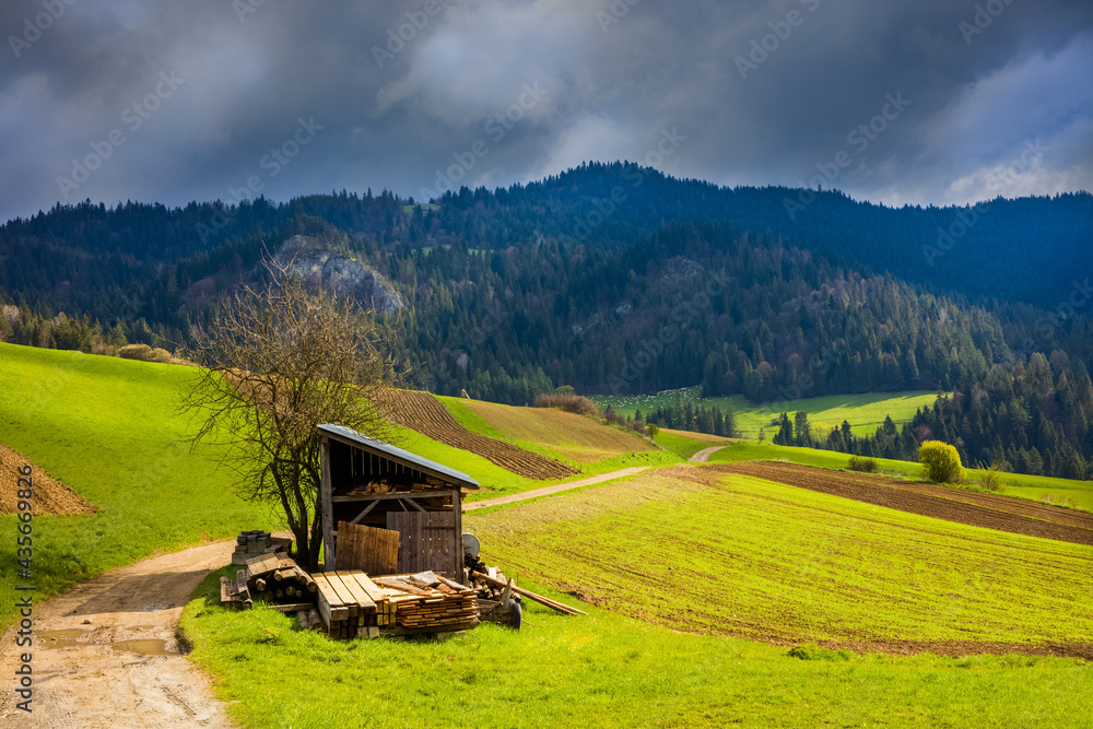 Naklejka premium Pieniny wiosną 