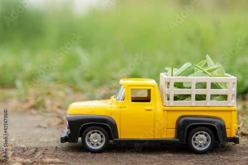 Farming concept. Place for text. Retro yellow farm pickup truck with greenary at the field. Agriculture concept