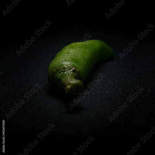 A scene taken at night with a greenchilli with drops of water it use for get taste in curry. It's to hot. Organic vegetable