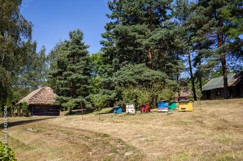 An apiary with old wooden hives in a rural garden © wjarek