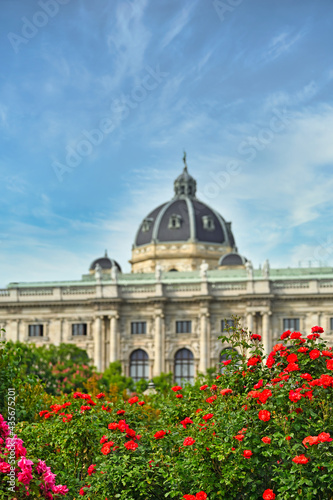 Photography Red Roses in Volksgarten Vienna Austria