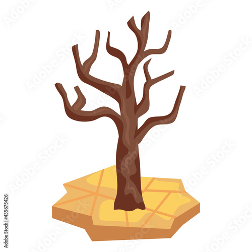 dry tree in desertification