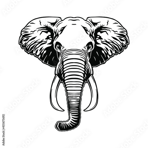 Elephant head vector file. Elephant clipart for cutting venil stickers and printing