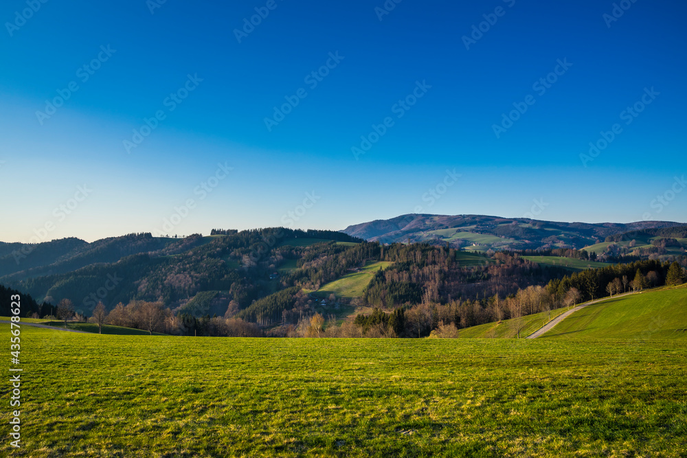 Germany, Warm evening sunlight shining on green pastures and trees at edge of the forest in schwarzwald nature landscape under blue sky