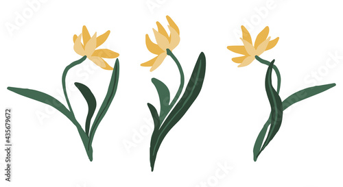 Abstract yellow flowers set. Collection of hand drawn vector stock illustrations. Colorful cartoon cliparts isolated on white background. Simple elements for design, print, decor, postcard, stickers.