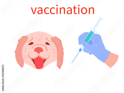 vaccination of animals. rabies vaccination. opponents and supporters of the vaccine. stock vector illustration with pets and syringe isolated on white background.