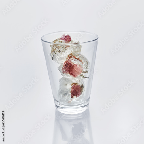 Wallpaper Mural Glass of water with frozen roses in ice cubes on white background Torontodigital.ca