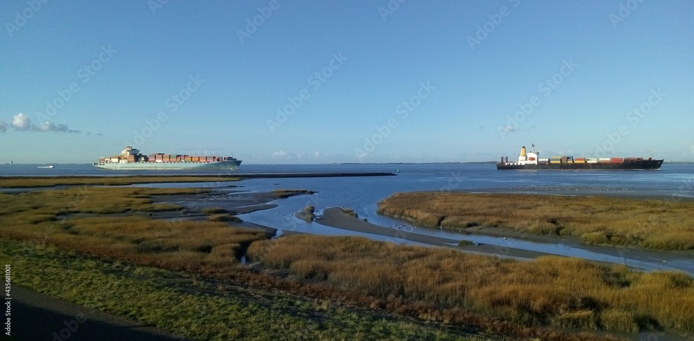 two container ships are navigating along a salt marsh in the westerschelde sea through river scheldt towards antwerp at a cold winter morning with a blue sky