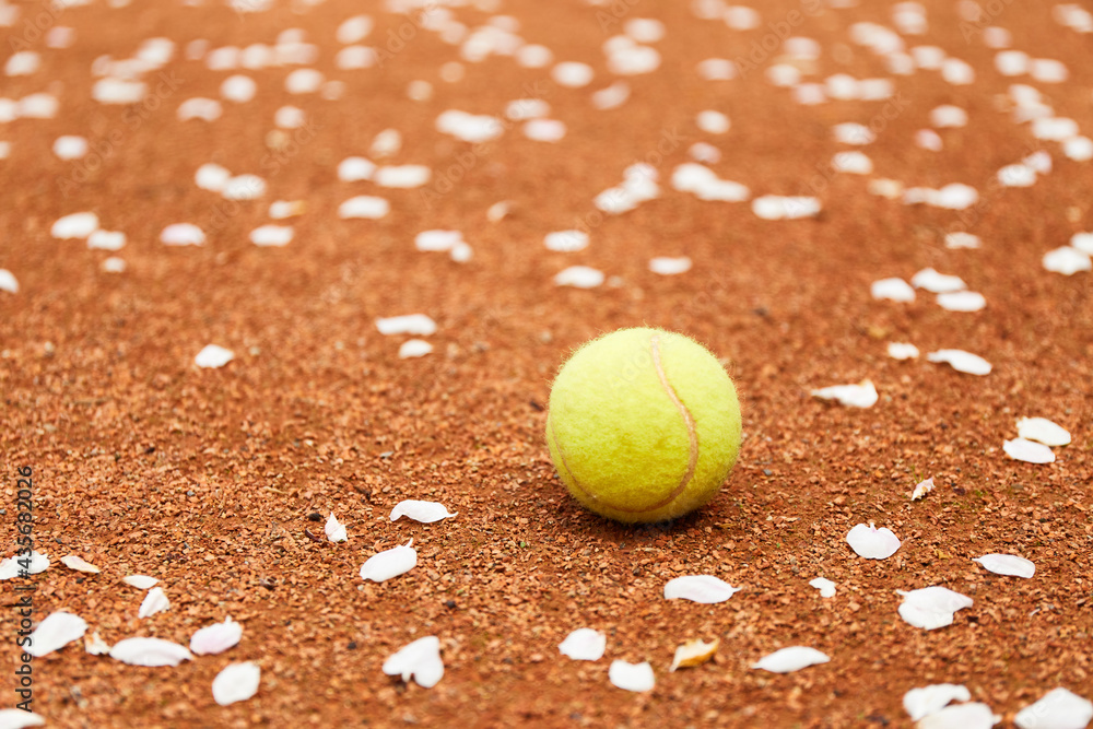 Tennis ball on a clay court. Tennis court near blooming Apple tree with petals on the ground. Tennis game