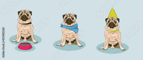 A set of pug in different costumes: one wearing bandana, another con and the last one has a bowl with food. Good for veterinar, dog's barber shop or food.