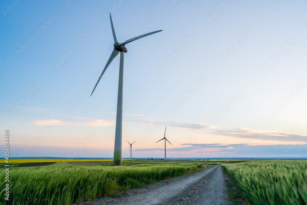 Wind turbine farm crossed by the leading line of a country road during the day, wind park where renewable green energy is generated. Copy space. Wind turbine farm crossed by the leading line of a country road during the day, wind park where renewable green energy is generated. Copy space.