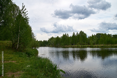 summer landscape on the banks of the river