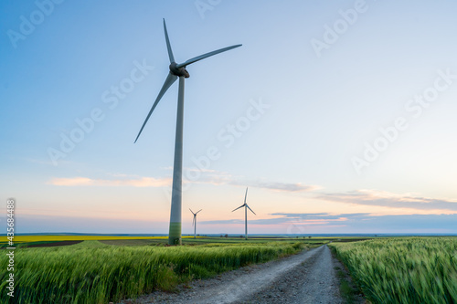 Wind turbine farm crossed by the leading line of a country road during the day, wind park where renewable green energy is generated. Copy space.
