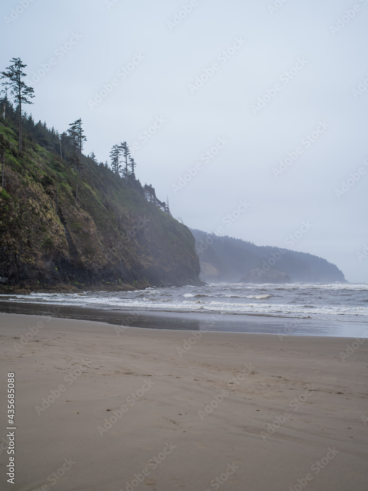 In the photo, the sandy shore of the ocean, the waves of the ocean beat against the shore. Dense coniferous forest. Clear transparent blue sky. Sunny day. Place for your insert.