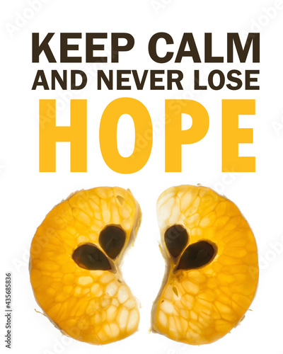 Fertility quotes. Conceptual image with text. Motivational quotes