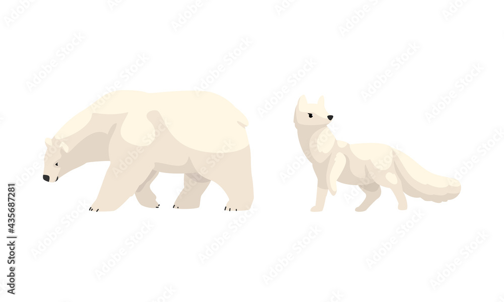 Arctic Animals Set, White Polar Bear and Fox Cartoon Vector Illustration Arctic Animals Set, White Polar Bear and Fox Cartoon Vector Illustration