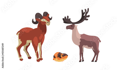 Polar Animals Set  Arctic Reindeer  Lemming and Mountain Goat Cartoon Vector Illustration