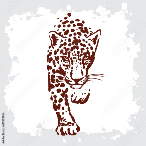 Leopard simple sketch drawing on a white background. Wild animal drawing.