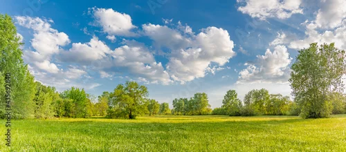 Obraz  z motywem Idyllic mountain landscape with fresh green meadows and blooming wildflowers. Idyllic nature countryside view, rural outdoor natural view. idyllic banner nature, panoramic spring summer scenery