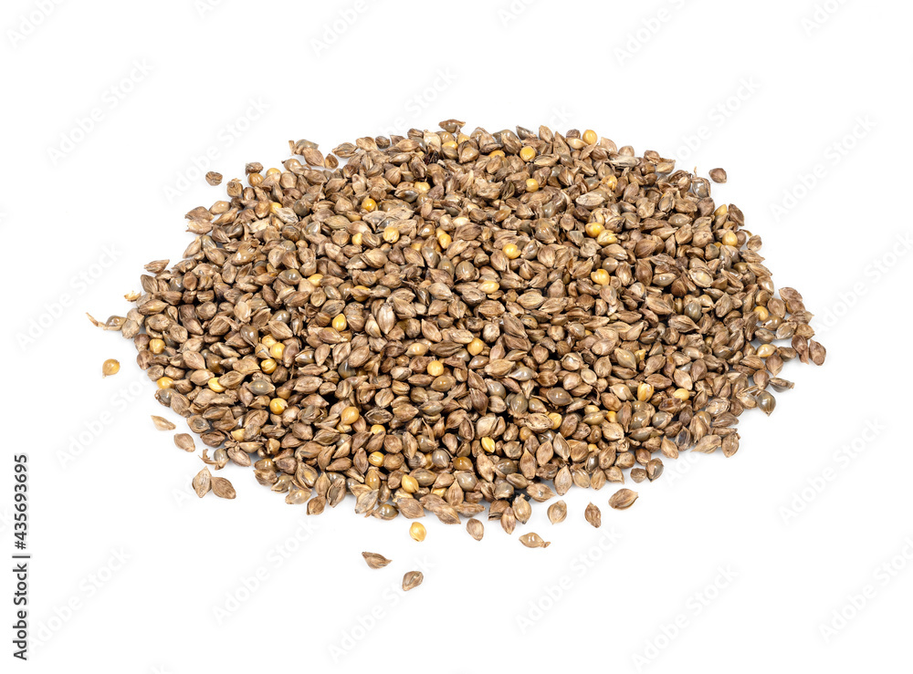 pile of barnyard millet seeds closeup on white pile of barnyard millet seeds closeup on white
