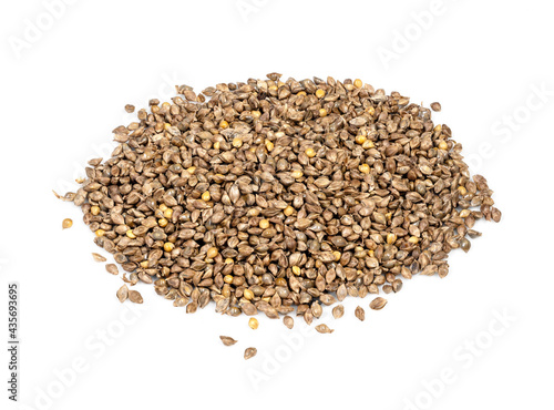 pile of barnyard millet seeds closeup on white