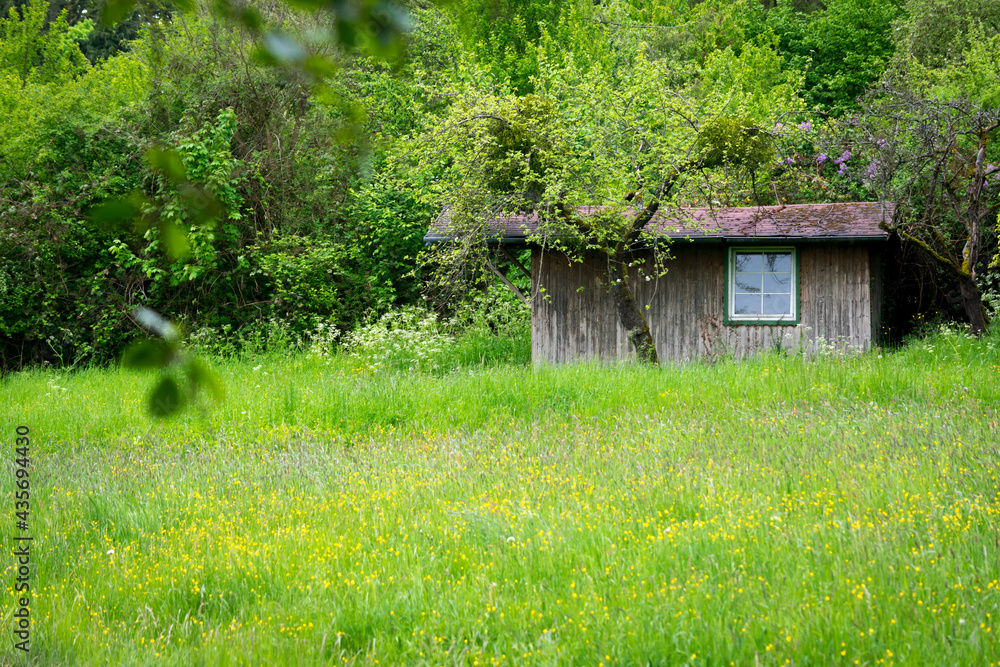 old wooden house old wooden house