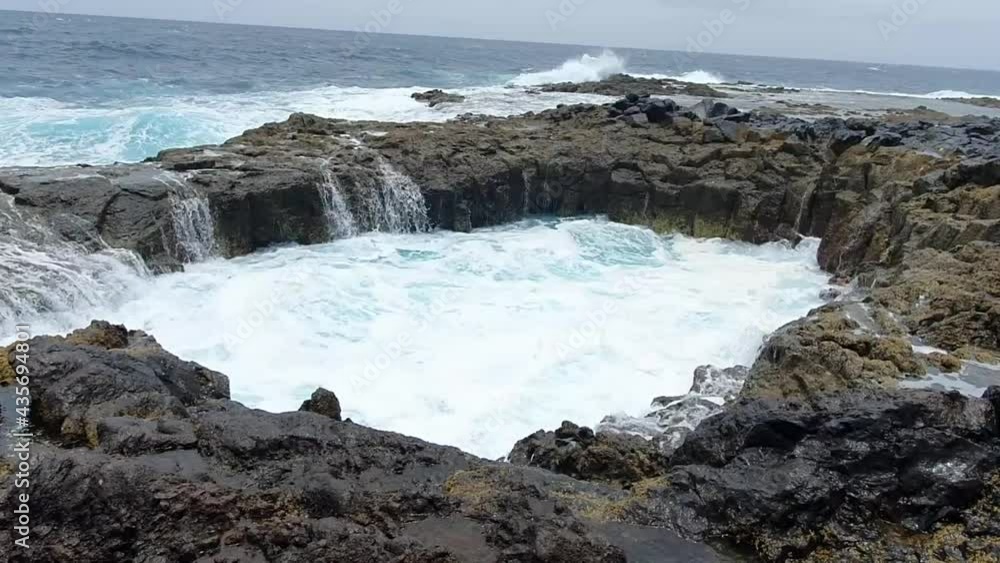 water buffoon on the rocks water buffoon on the rocks