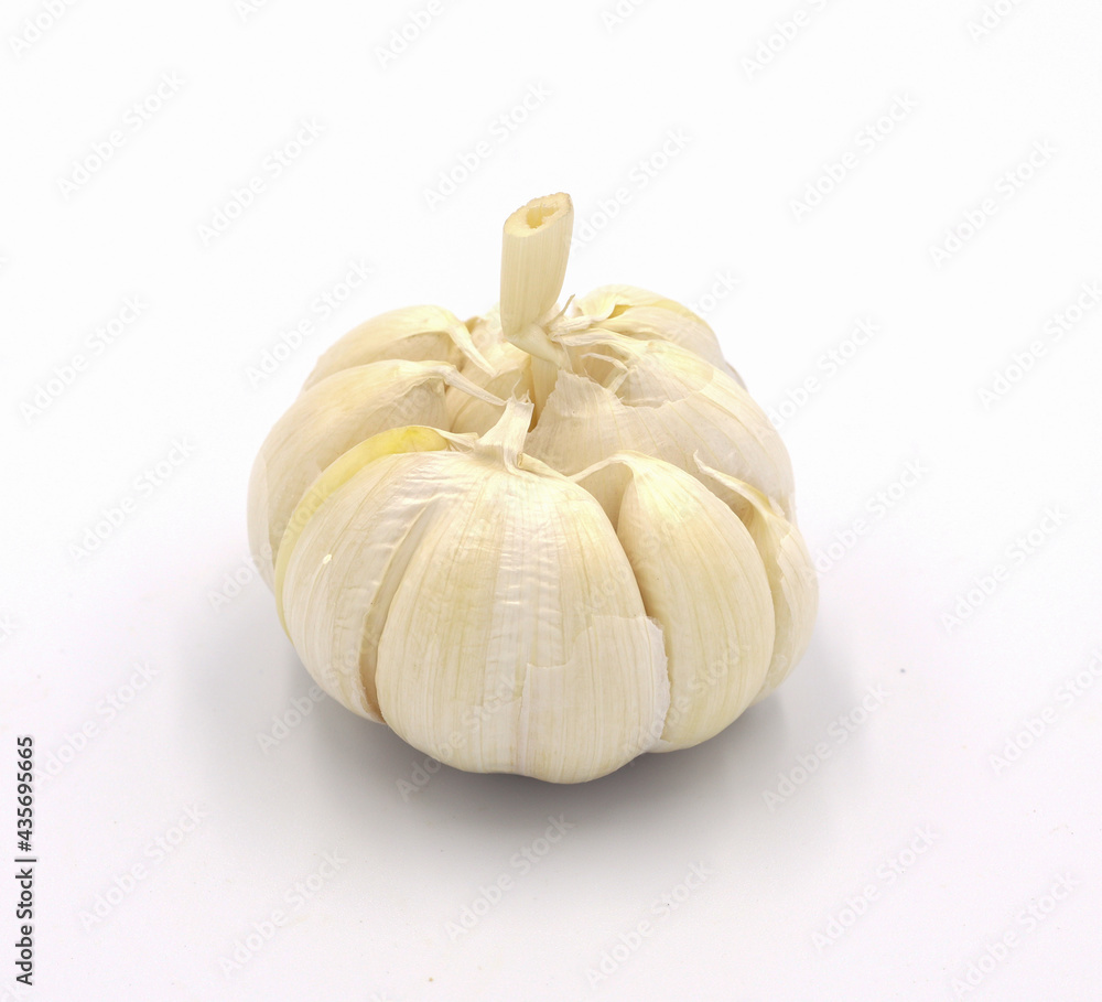 Garlic isolated on white background Garlic isolated on white background