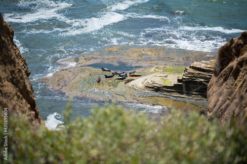 Point Loma California photo