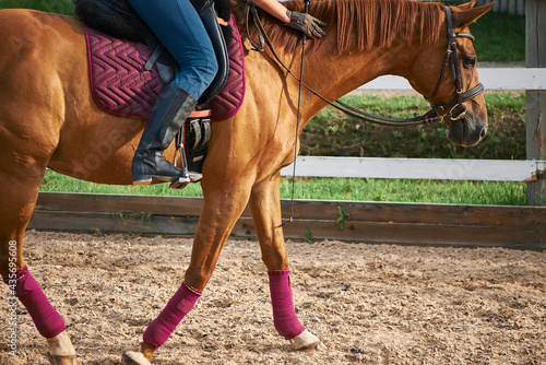 girl rider riding brown horse