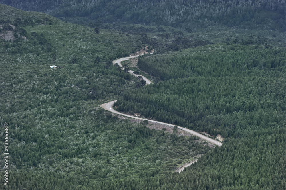 Naklejka premium perú carretera , selva
