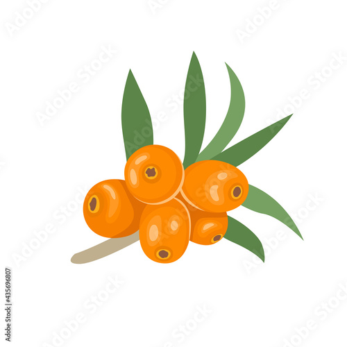 Sea buckthorn vector icon. Orange berries isolated on white background. Cartoon flat illustration.