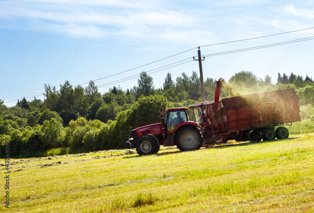 Obraz premium Hay harvesting in the field.