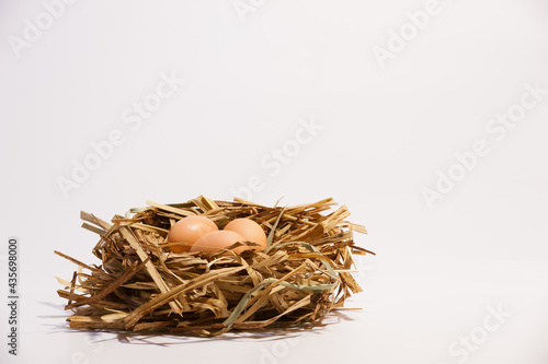 Three eggs in the nest of hays