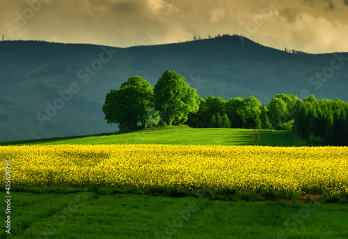Spring on fields © Lukasz