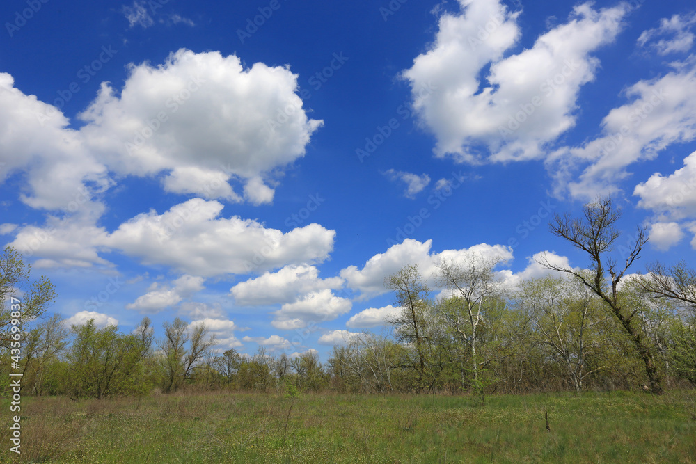 clouds over spring meadow